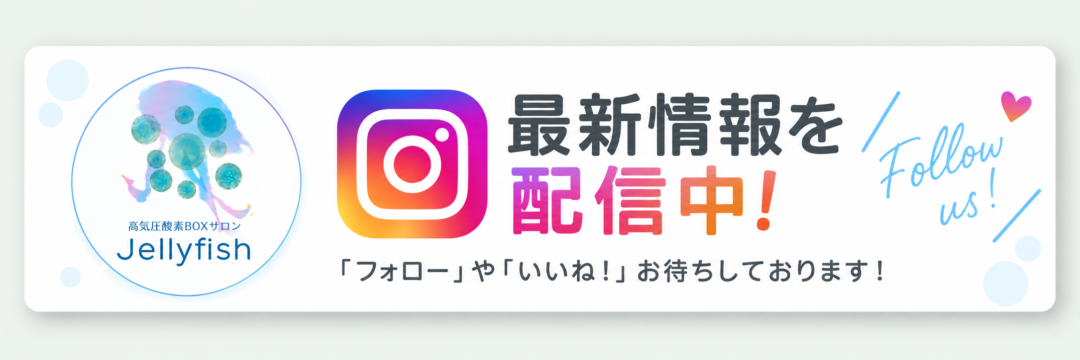 Jellyfish 最新情報をInstagramで配信中！フォローやいいねをお待ちしております