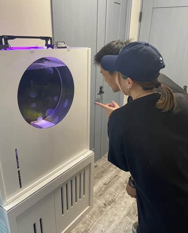 サロンのクラゲ水槽を眺めるお客様